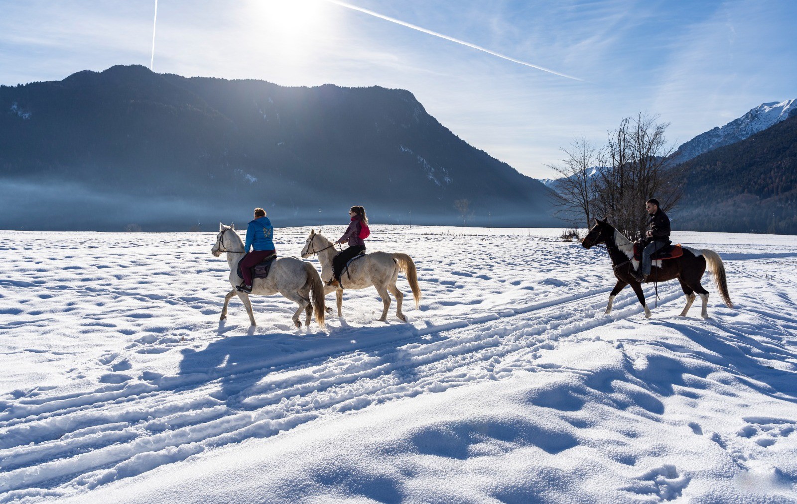 Dove fare una passeggiata a cavallo sulla neve