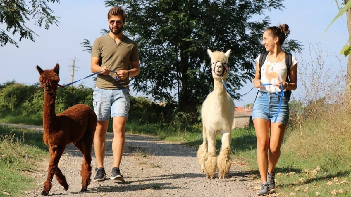 regali per le coppie: esperienze con gli animali