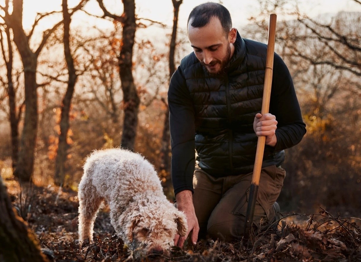 Caccia al tartufo con pranzo nel Lazio