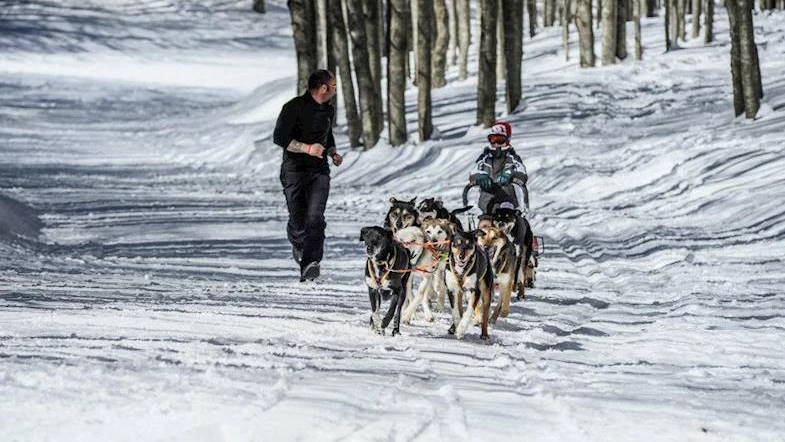 Sleddog sulle Dolomiti 