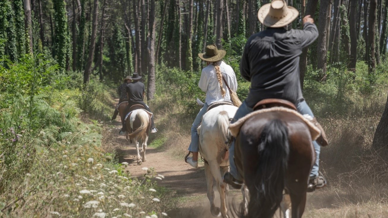 Passeggiata a cavallo in Costiera Sorrentina