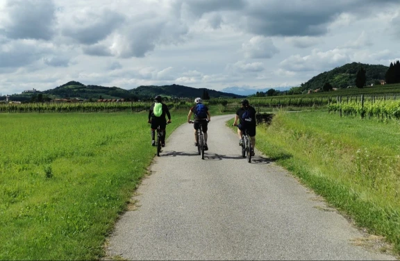 Tour Privato in E-bike tra i Vigneti di Cividale del Friuli