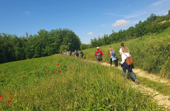 Trekking con Visita in Cantina e Degustazione nel Monferrato