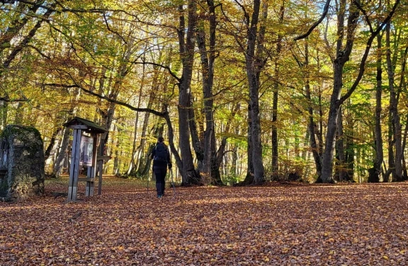 Trekking nel Bosco di Sant’Antonio a Pescocostanzo