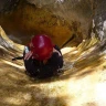 Torrentismo in Calabria sul fiume Jannello