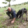 Caccia al Tartufo con Degustazione e Pranzo ad Acqualagna