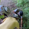 Caccia al Tartufo in Toscana vicino Siena