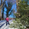 Ciaspolata nel Bosco di Sant’Antonio vicino Roccaraso