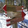 Ciaspolata nel Bosco di Sant’Antonio vicino Roccaraso