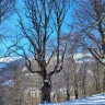 Ciaspolata nel Bosco di Sant’Antonio vicino Roccaraso