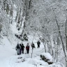 Ciaspolata nel Parco Nazionale del Pollino