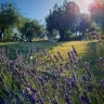 Degustazione dell'Olio Laudemio e visita al Frantoio