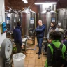 Degustazione dell'Olio Laudemio e visita al Frantoio