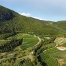 Degustazione e visita ai vigneti a Pastrengo sul Lago di Garda