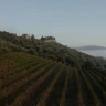 Degustazione e Visita in Cantina a Magione