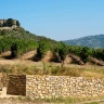 Degustazione e Visita in Cantina a Magione