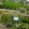 Degustazione e Visita in Cantina a Magione