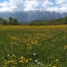 E-Bike Tour in Valle Giumentina nella Majella