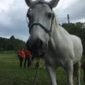 Giornata a Cavallo al Lago di Pianfei