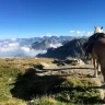 Giornata a Cavallo al Lago di Pianfei