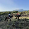 Giornata a Cavallo nel Parco dell'Etna