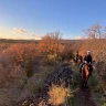 Giornata a Cavallo nel Parco dell'Etna