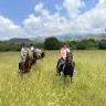 Giornata a Cavallo nel Parco dell'Etna