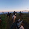 Giornata a Cavallo nel Parco dell'Etna