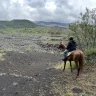 Giornata a Cavallo nel Parco dell'Etna