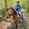 Giornata a Cavallo nel Parco dell'Etna