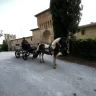 Giro in Carrozza a Umbertide in Umbria