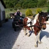 Giro in Carrozza a Umbertide in Umbria