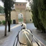 Giro in Carrozza a Umbertide in Umbria