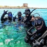 Immersione subacquea a Porto Cesareo in Salento