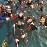 Immersione Subacquea all'Isola d'Elba