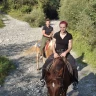 Lezione ed Escursione a Cavallo in Val Seriana vicino Bergamo