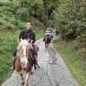 Lezione ed Escursione a Cavallo in Val Seriana vicino Bergamo