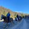 Lezione ed Escursione a Cavallo in Val Seriana vicino Bergamo