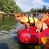 Packrafting a Lucca sul Fiume Serchio