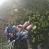 Parapendio Biposto a Castelsardo