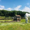 Passeggiata a Cavallo a Castel Porziano vicino Roma