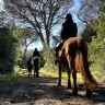 Passeggiata a Cavallo a Castel Porziano vicino Roma