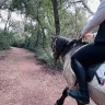 Passeggiata a Cavallo a Castel Porziano vicino Roma