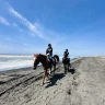 Passeggiata a Cavallo a Castel Porziano vicino Roma