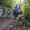 Passeggiata a Cavallo a Cavedine