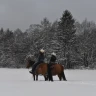 Passeggiata a Cavallo a Cavedine