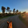 Passeggiata a Cavallo a Cerveteri