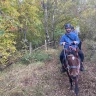 Passeggiata a Cavallo a Saturnia