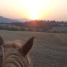 Passeggiata a Cavallo a Umbertide in Umbria