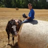 Passeggiata a Cavallo a Umbertide in Umbria